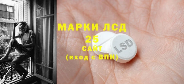 хмурый Алексин