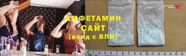 хмурый Алексин
