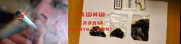хмурый Алексин