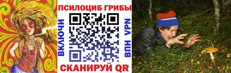 Псилоцибиновые грибы Magic Shrooms  Пласт 