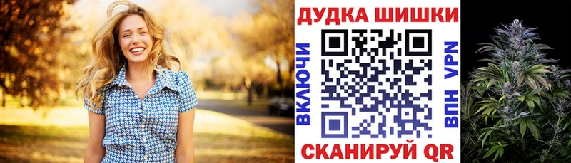 Конопля план Пласт